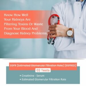 EGFR (ESTIMATED GLOMERULAR FILTRATION RATE)