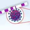 HIV COMPREHENSIVE PANEL