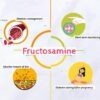 FRUCTOSAMINE