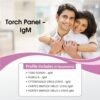 TORCH PANEL - IGM