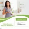 TRIPLE MARKER - SECOND TRIMESTER(MATERNAL SERUM SCREEN 3; TRIPLE TEST)