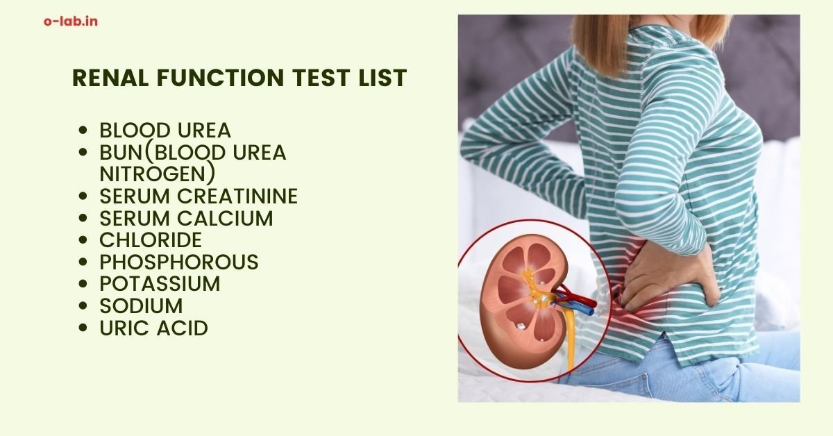 ADVANCED RENAL PROFILE